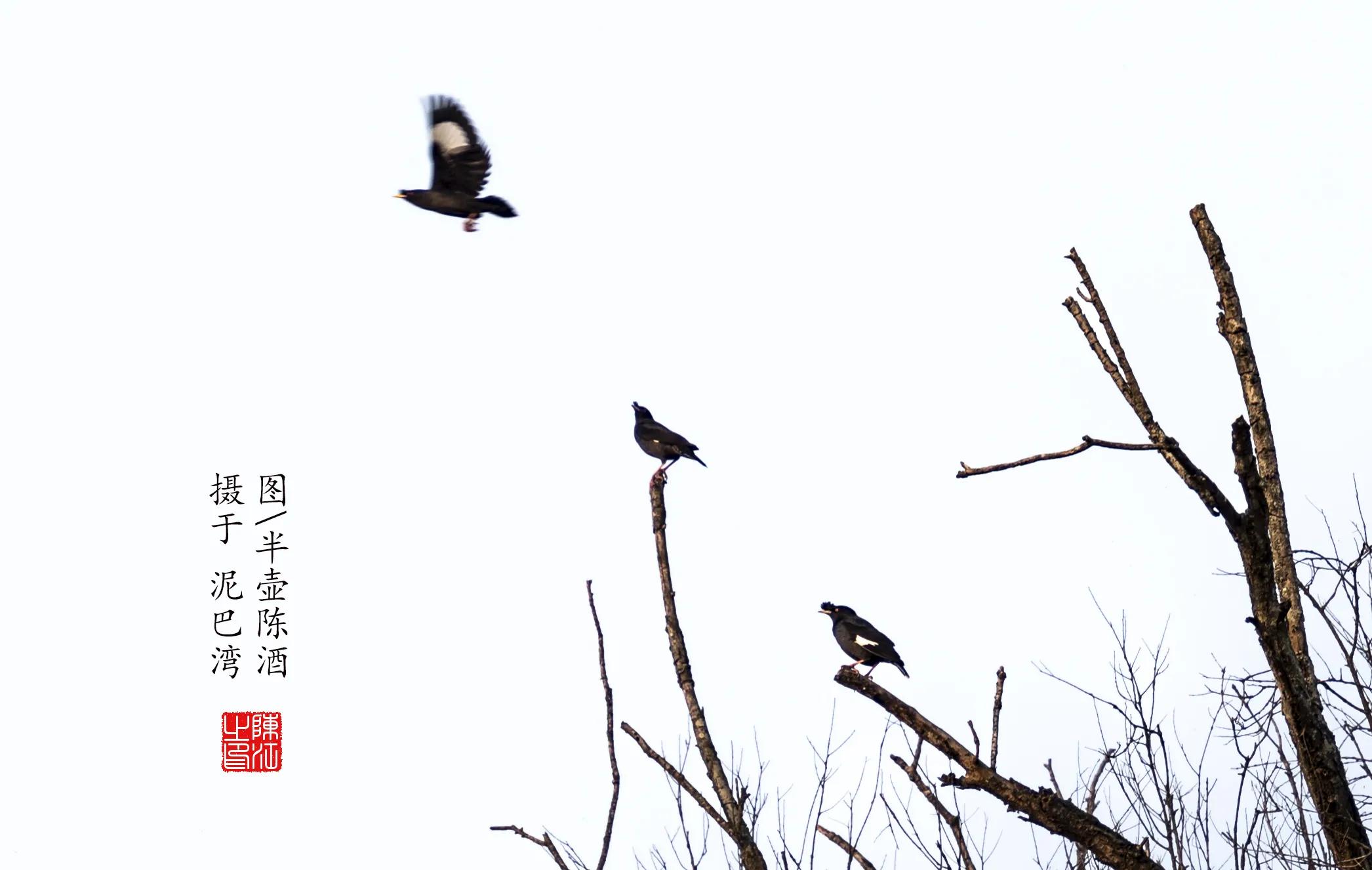 摄影棚拍白底图片,高端白底图拍摄