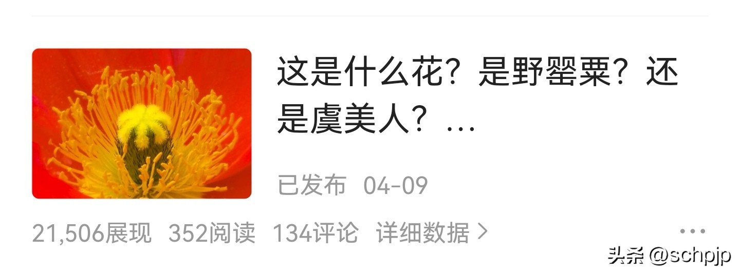 头条审核未通过原因怎么查,头条审核未通过有必要去申诉吗