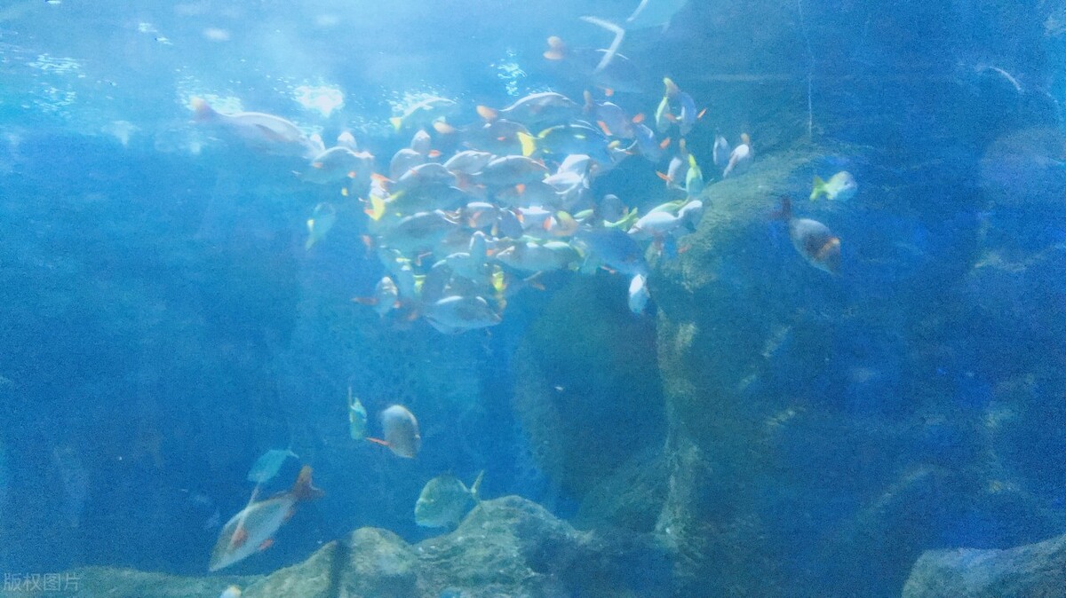 大连旅游攻略必去景点推荐,大连旅游攻略必去景点推荐一下