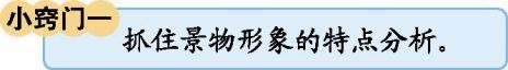 部编版四年级下册语文全部知识点,部编版四年级下册语文第三单元12
