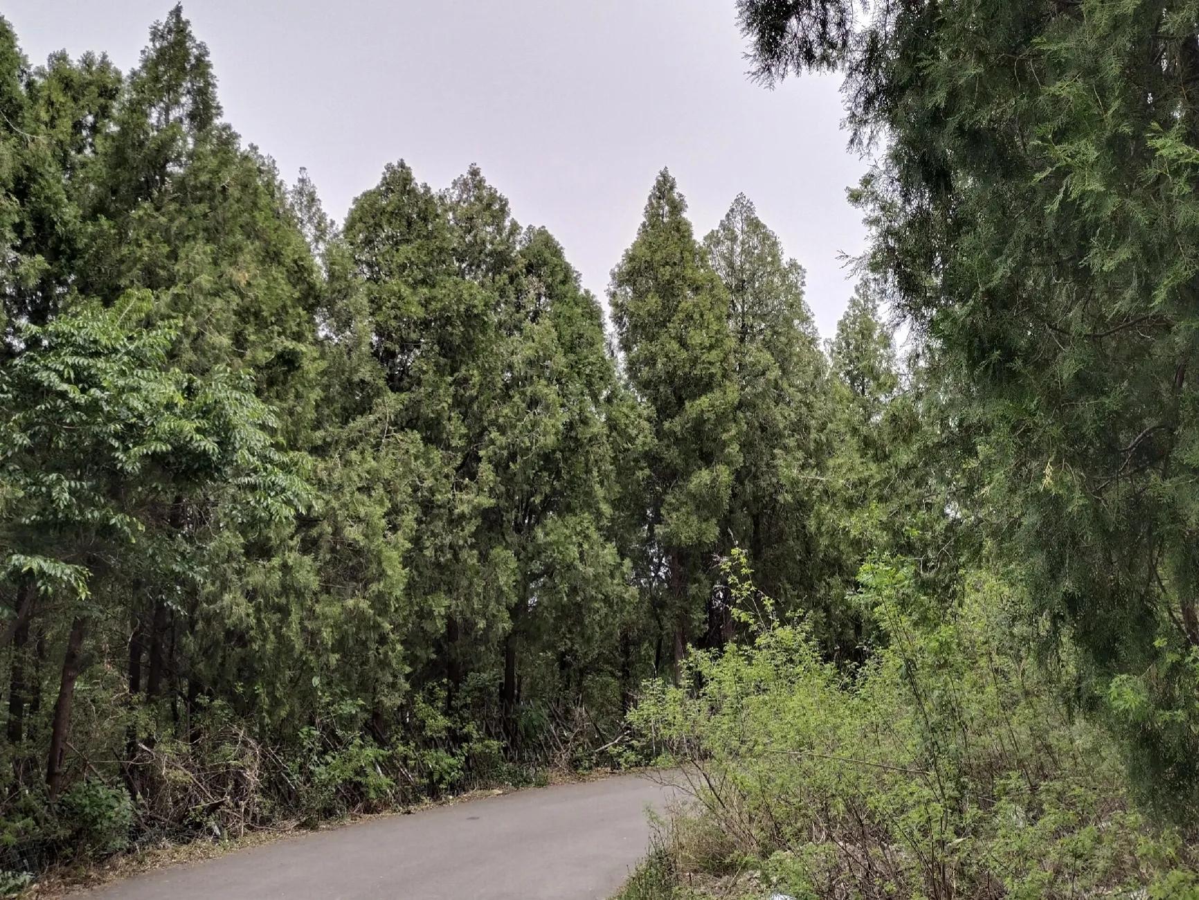 淄博有个*新宇毛**将军题字的小景区，你逛过吗？