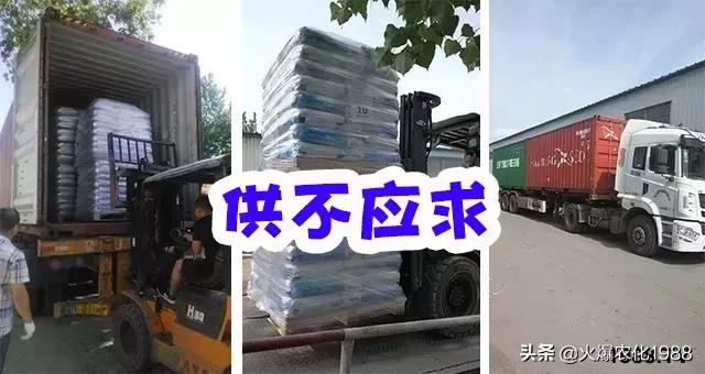 意大利、荷兰、比利时原装进口，交500顶2000；支持货到付款