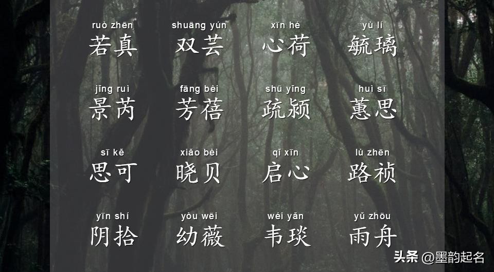 女孩名字带火和士字的文雅名,花姓女孩名字优雅大方