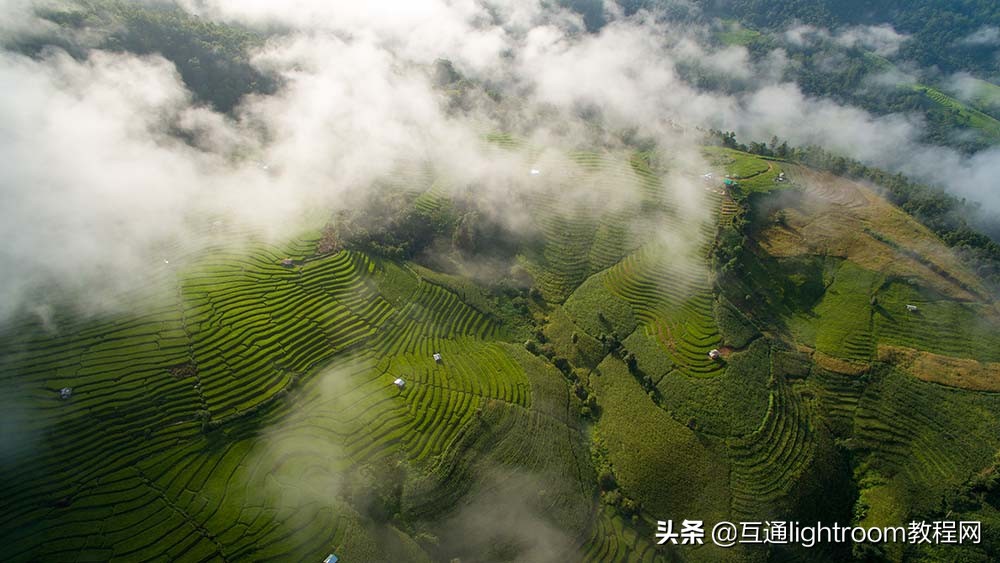 如何拍出雨雾感觉的照片,雾气怎么拍摄效果好