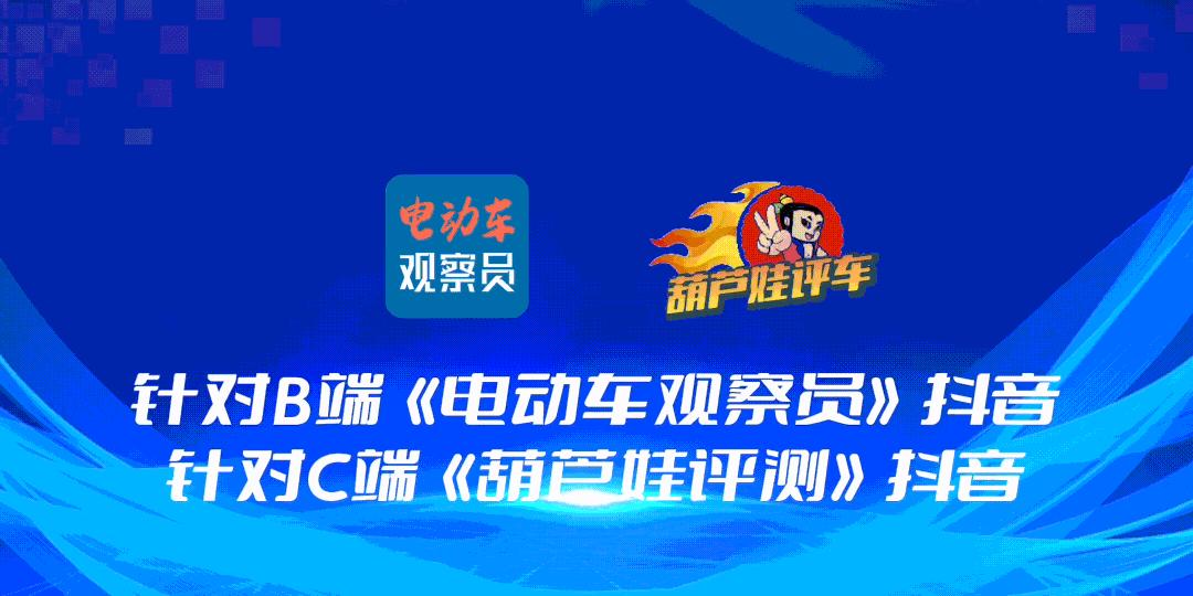 三雅电动车3000多预算,三雅电动车属于品牌吗质量怎么样