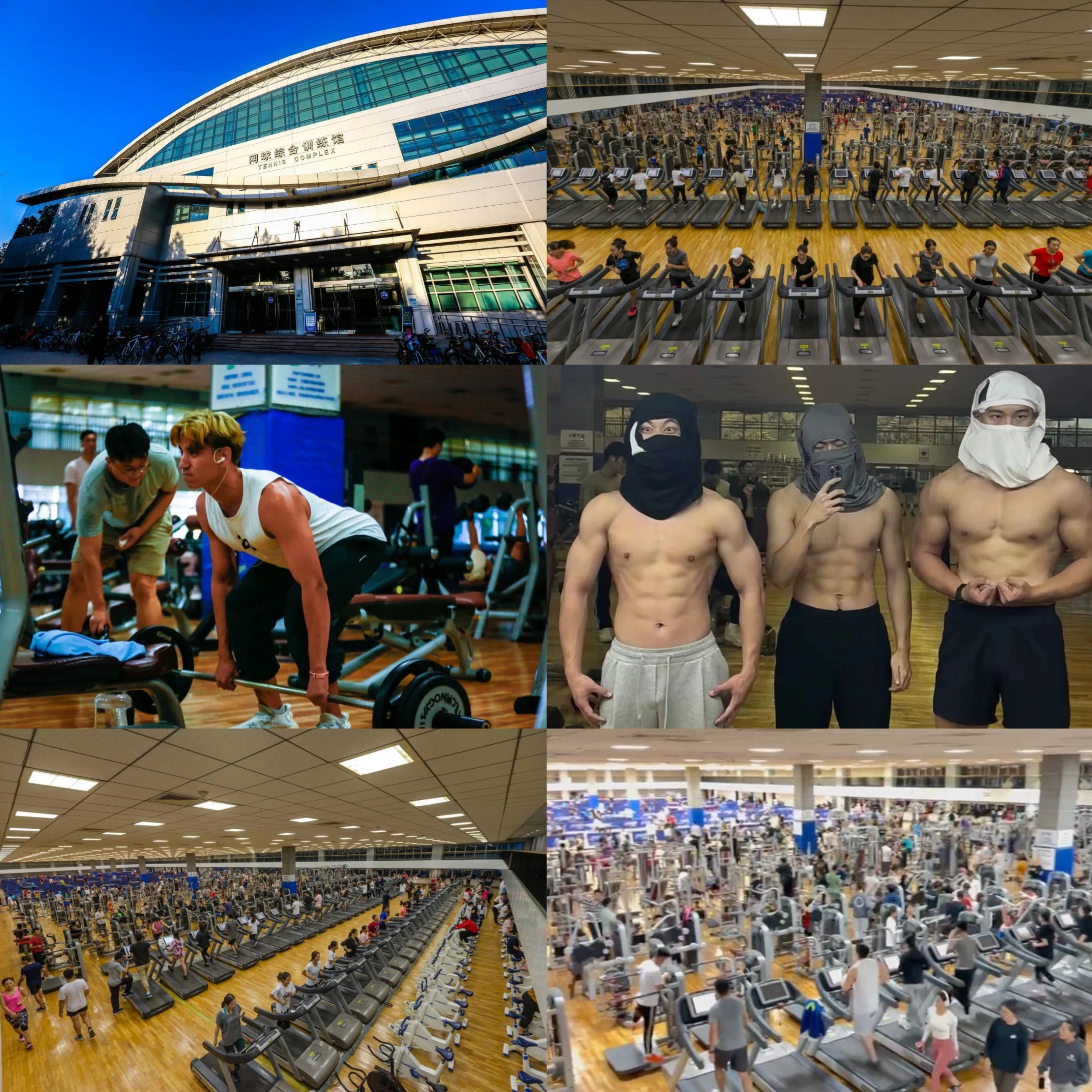 北京体育大学利与美,北京体育大学亚洲荷尔蒙