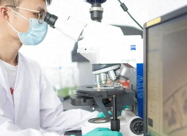 中科院芯片突破央视新闻,里程碑式突破中科院