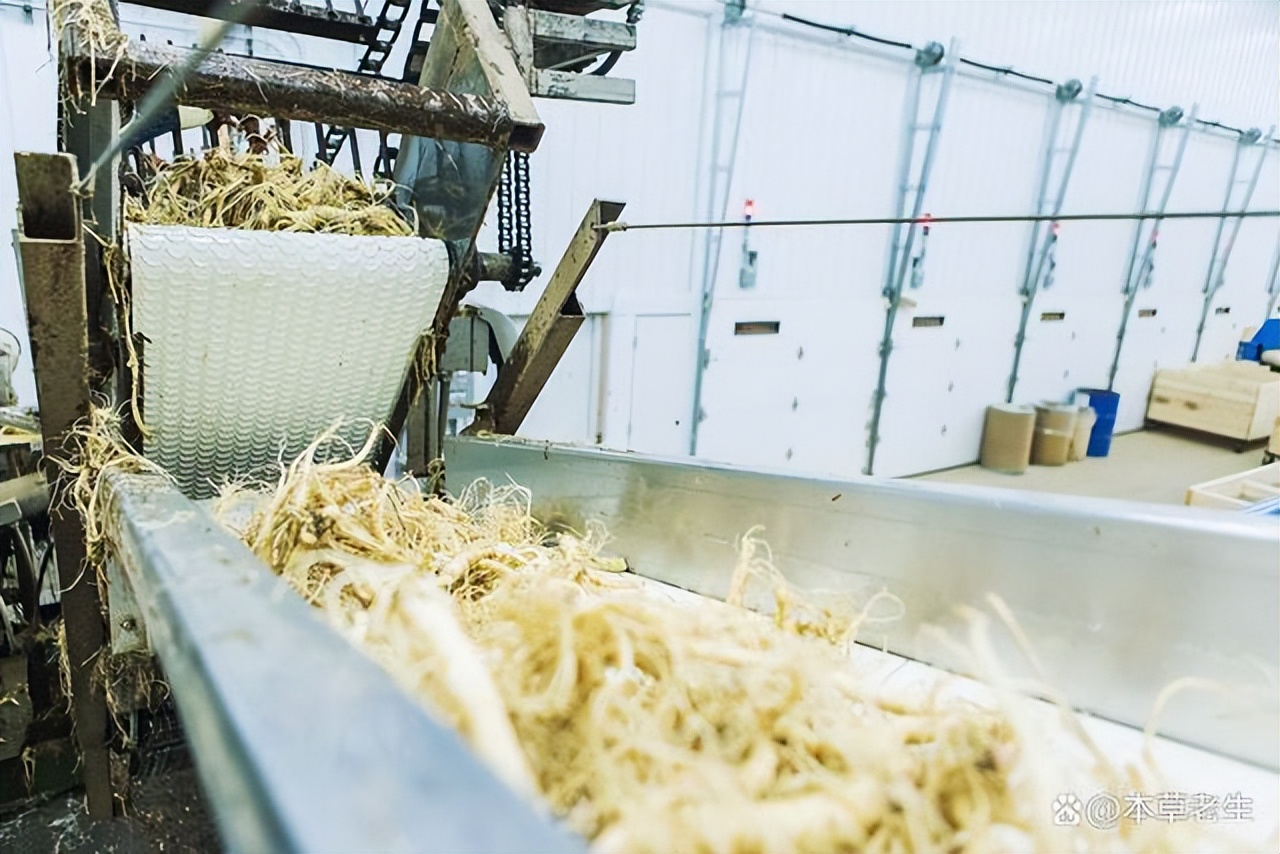 美国西洋参和中国西洋参有啥区别,美国产的西洋参好处是什么