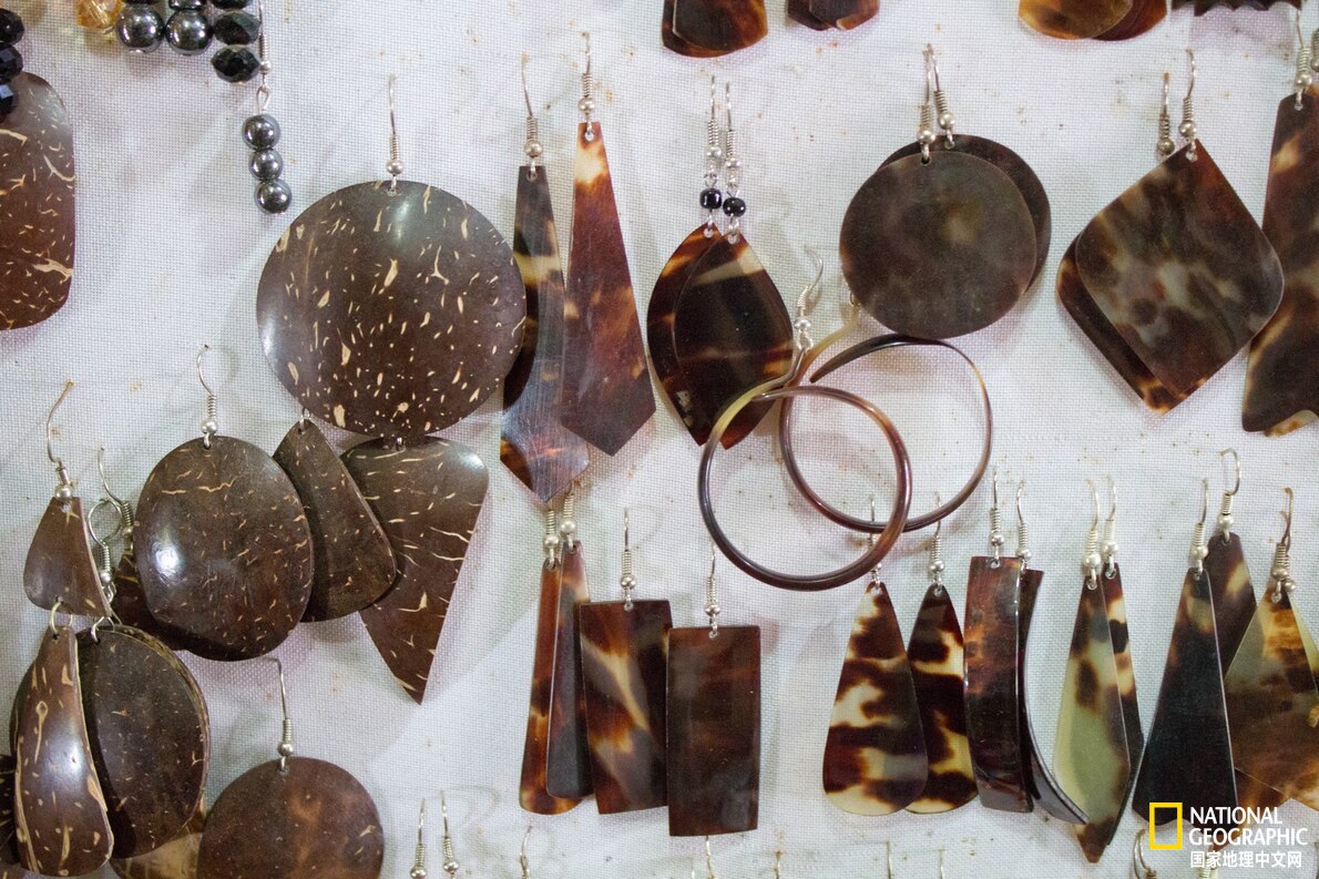 鍏充簬娴锋磱淇濇姢鐨刟pp,娴烽緹杞欢app