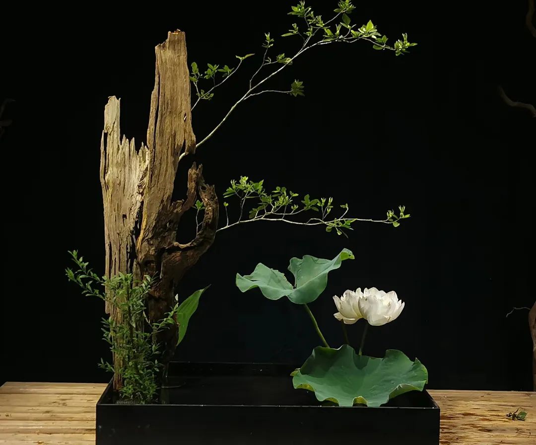 日本顶级禅意插花荷花,日式荷花插花