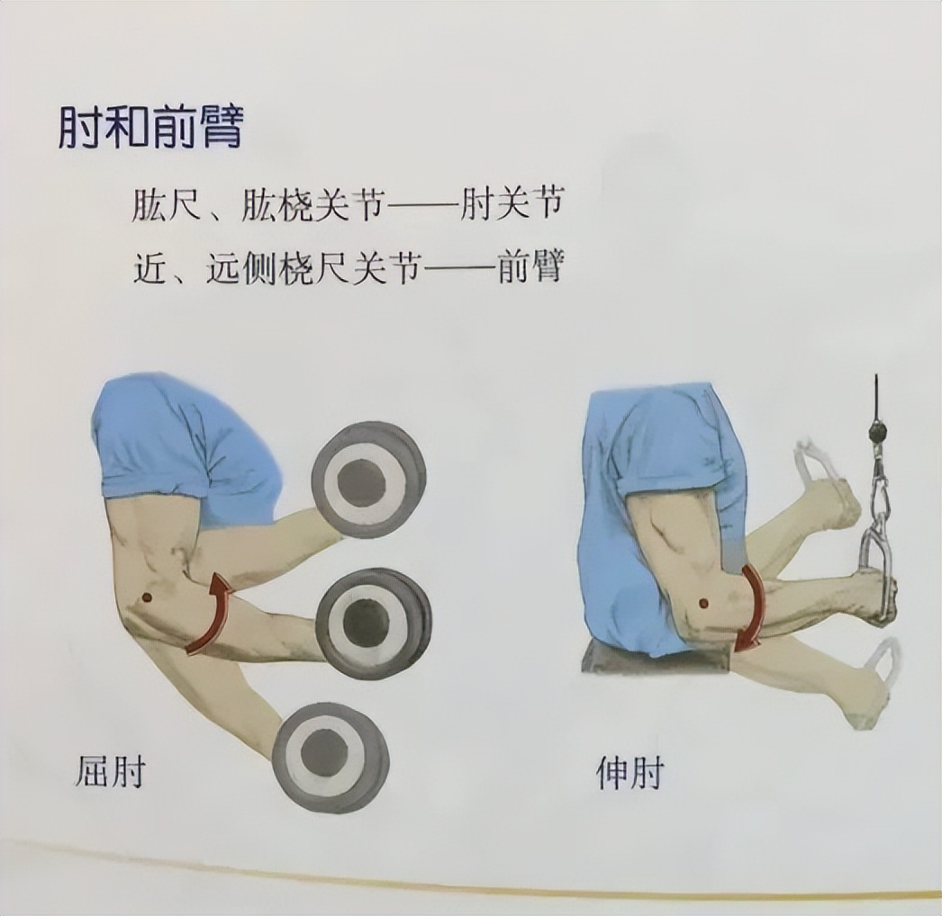 内旋发力的训练方法,羽毛球如何内旋发力