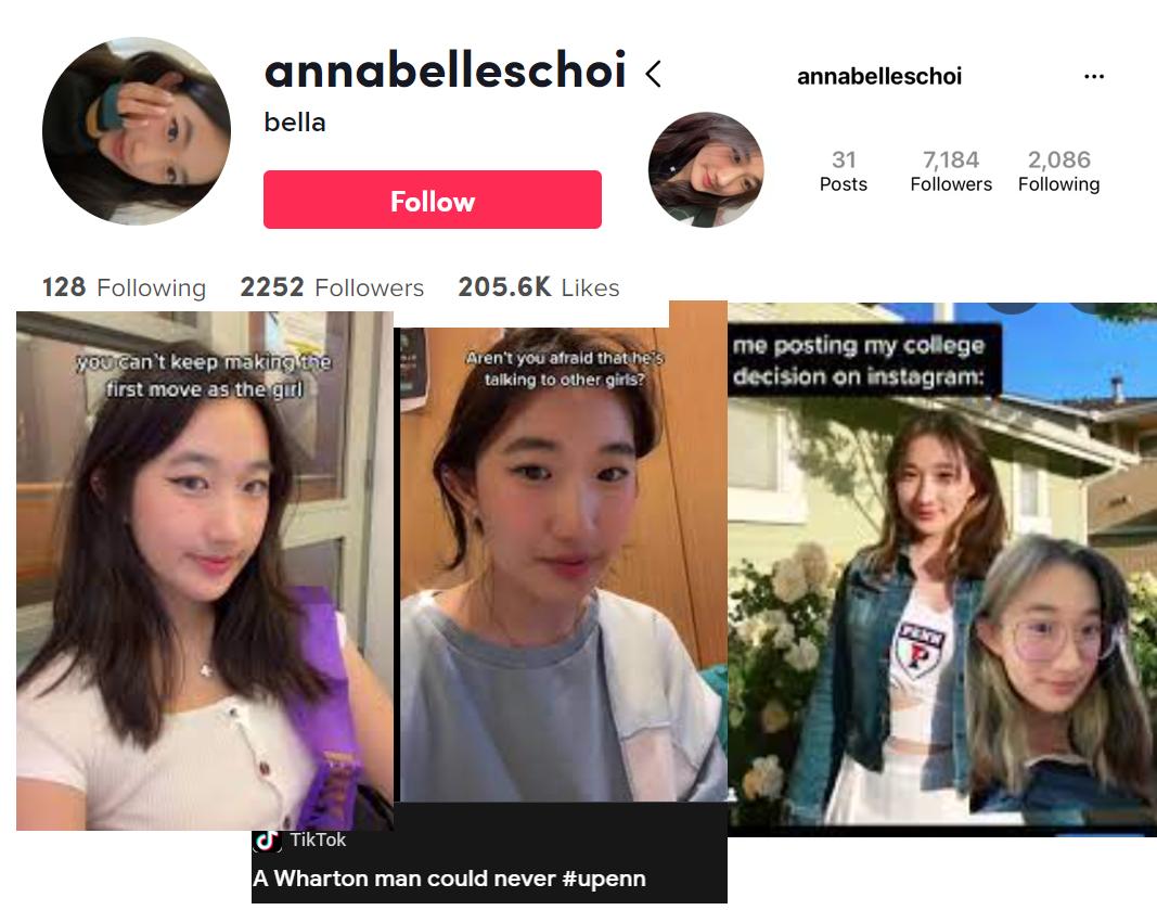 抄袭与学术造假,抄袭学术不端