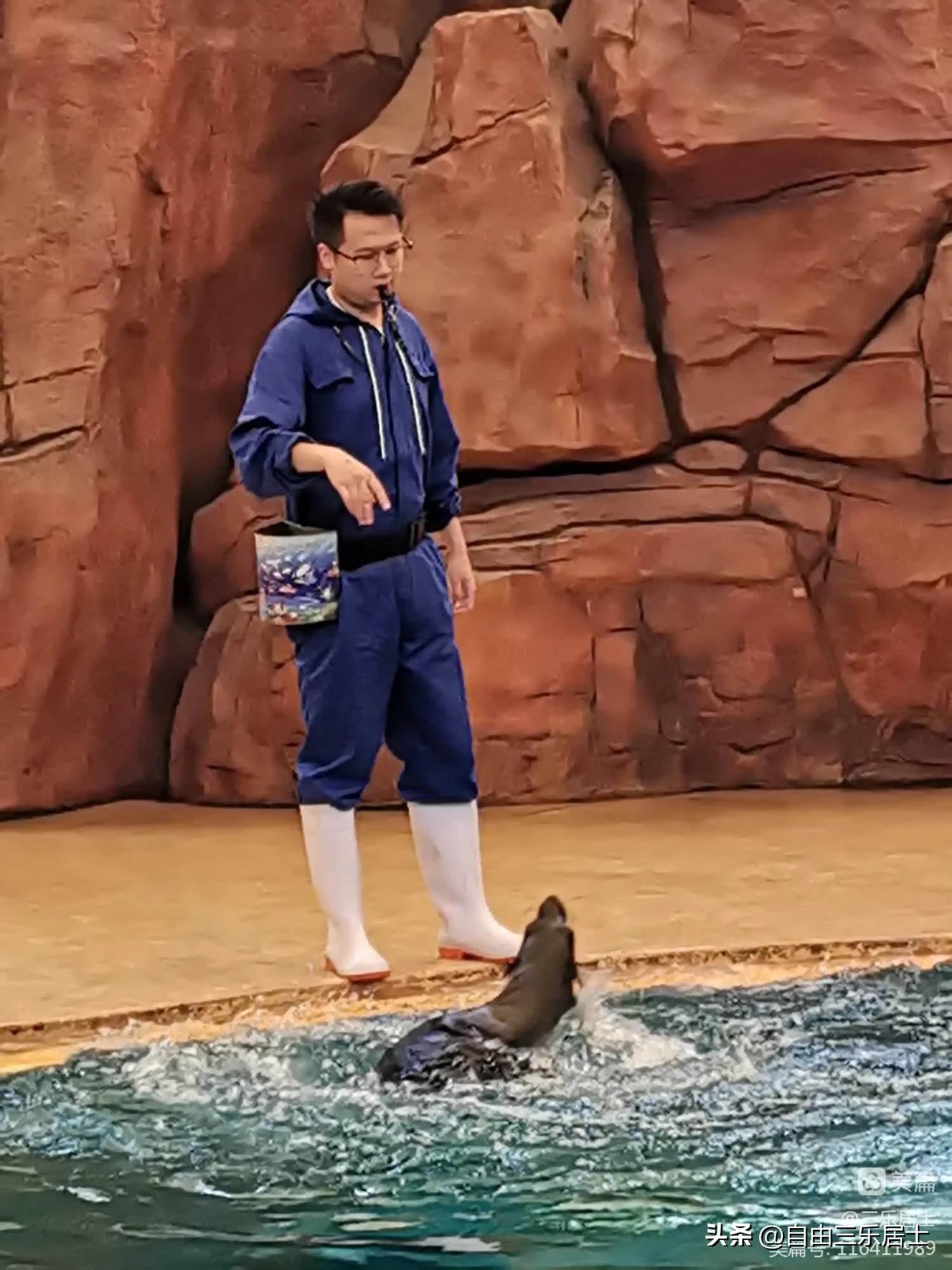 常州恐龙园游记,常州恐龙园游记图