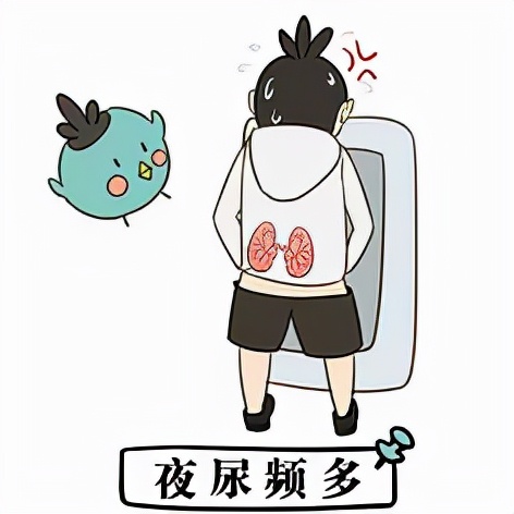 男人肾虚怎么调理最快强肾,肾虚怎么调理最有效男士