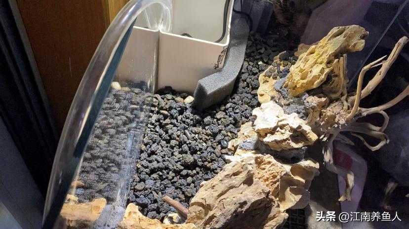 造景缸跟水陆缸一体缸,长方形的缸怎么造景水陆缸