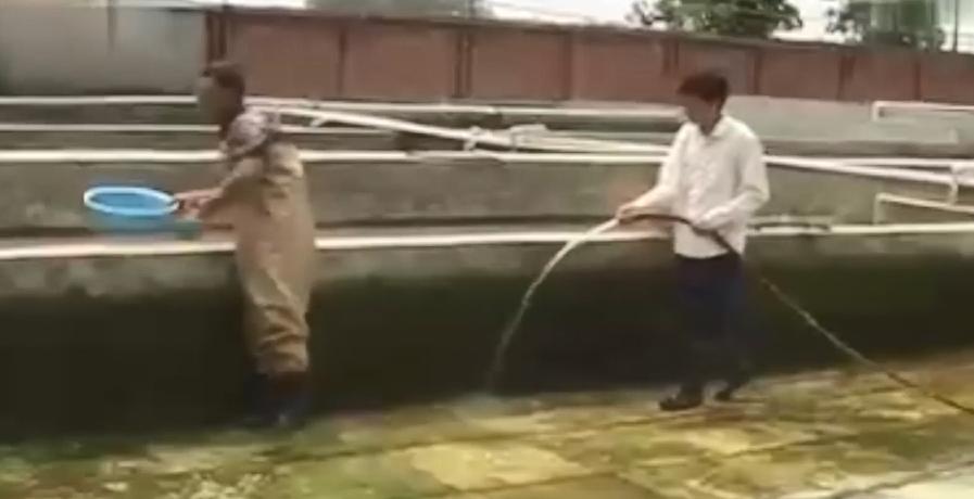 男子花20万买受伤鲶鱼,男子花20万买了一条受伤的鱼