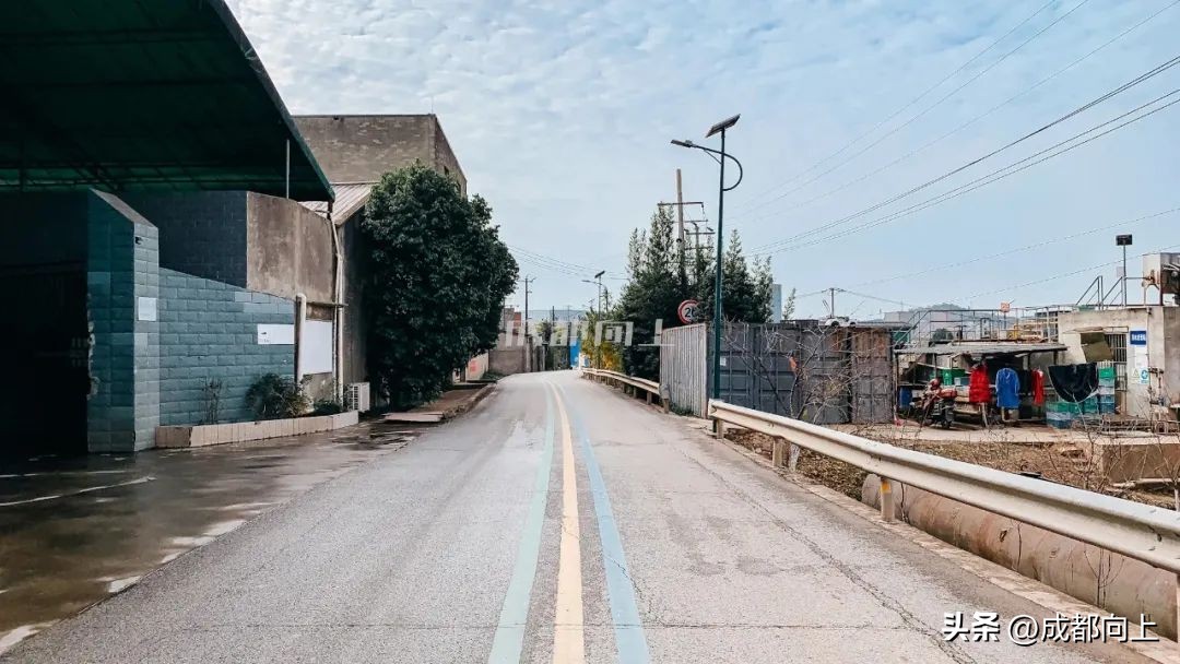 成都蓉城27场不败打破纪录,成都蓉城连续25场不败排名