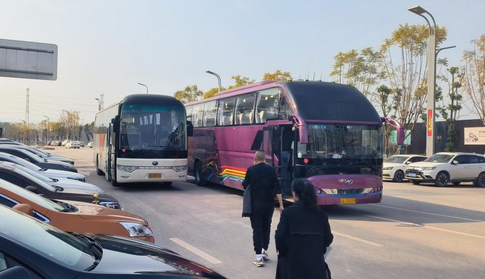 重庆又现外地购房团！单盘一天卖掉几十套，地产网红年入千万？