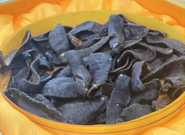 鸡生吞了水蛭会怎么样,鸡吃了水蛭不死吗