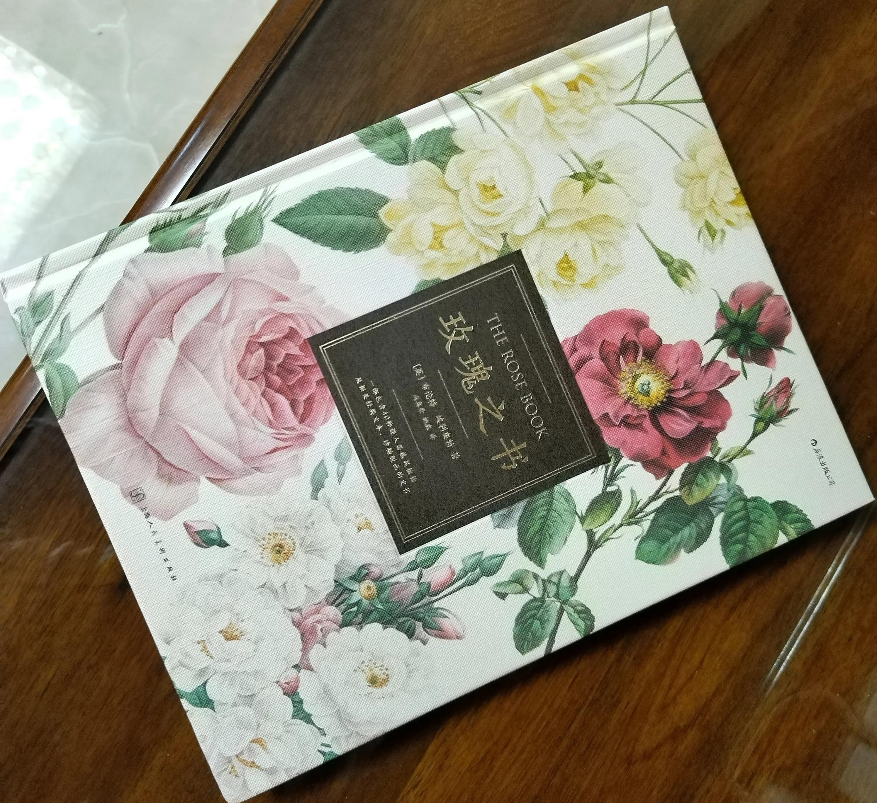 19朵香槟玫瑰花语的含义,6朵粉玫瑰花朵数代表含义