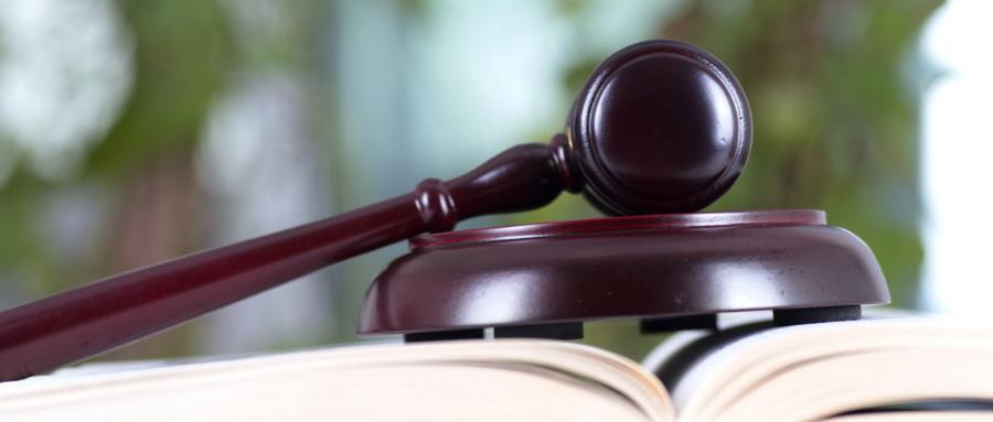 郑州碧桂园有多少项目停工,碧桂园多数楼盘停工是什么原因