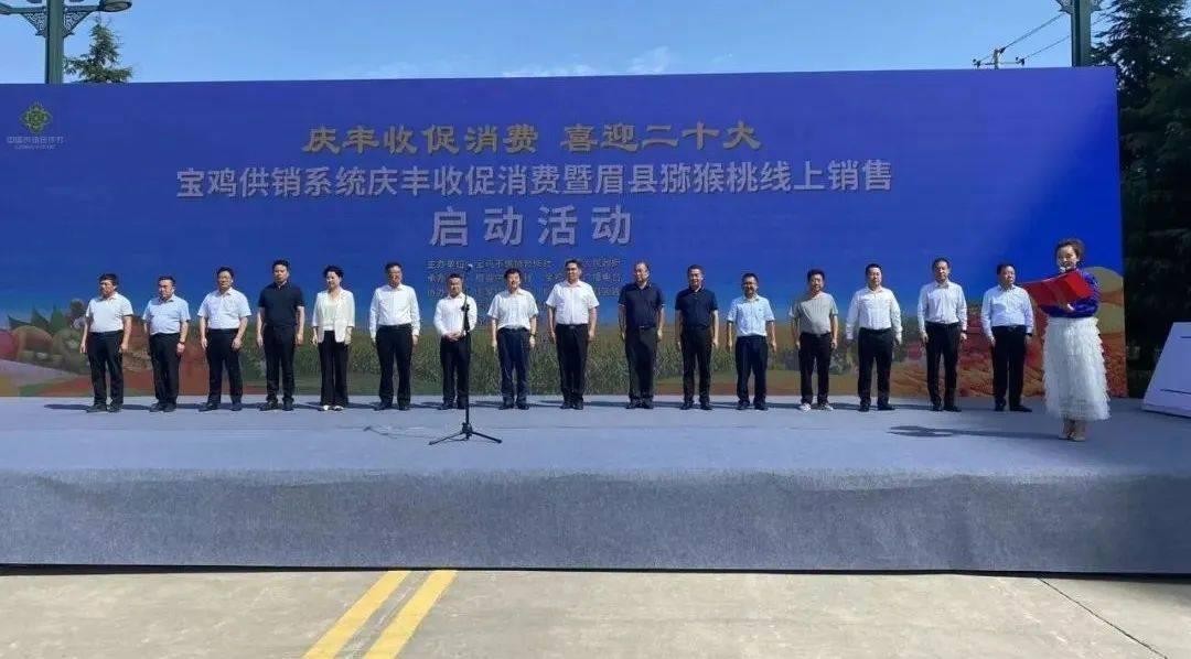 陕西宝鸡眉县猕猴桃,宝鸡眉县猕猴桃