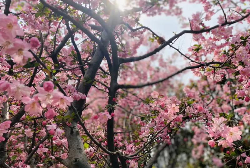 剧本杀未成年,剧本杀未成年可以玩吗