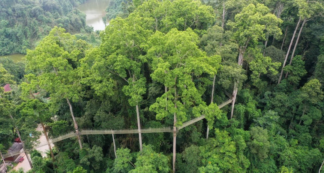 云南的南博会,云南南博会是做什么