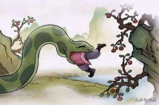 蛇出没的地方怎样预防,野外遇到蛇注意事项