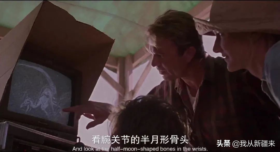 新疆哈密翼龙,天山哈密翼龙