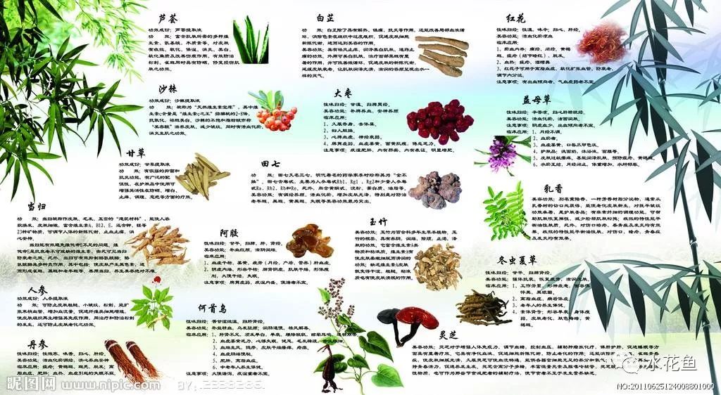 12种水产病害防治,你对水产动物病害的初步认识