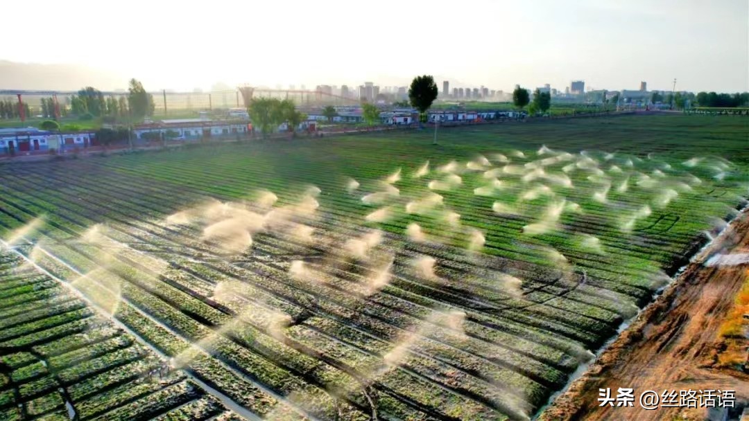 清泉镇双桥村：乡村建设美如画幸福生活踏歌来