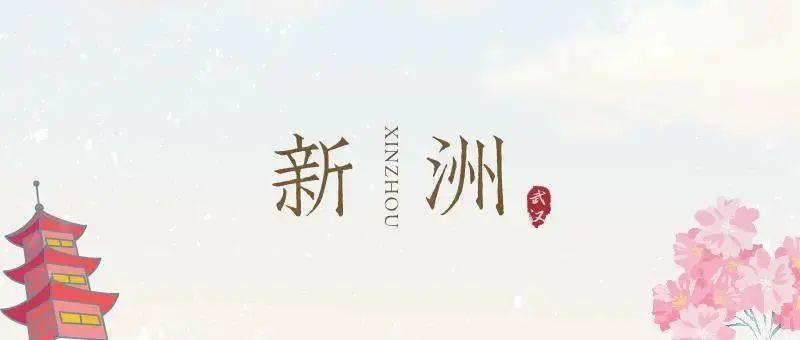 新洲区校园足球文化,校园足球氛围打造