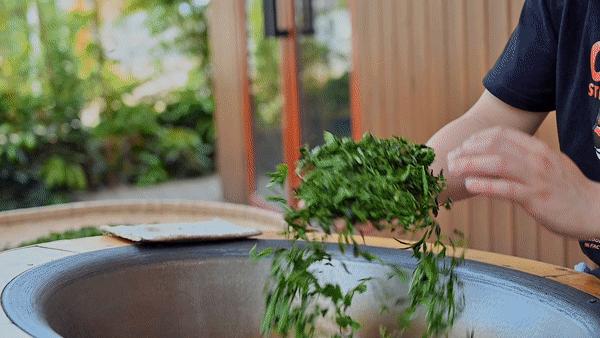 万亩野生古茶园,武汉野生森林