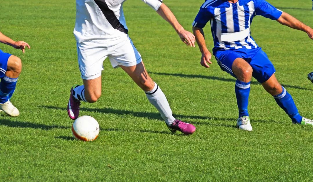 fifa认证足球场是真草吗,fifa认证足球