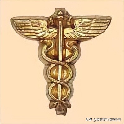 二战德国军官学历,二战德国上将级军官