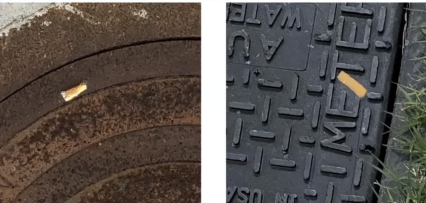 100+深度学习开源数据集分类汇总