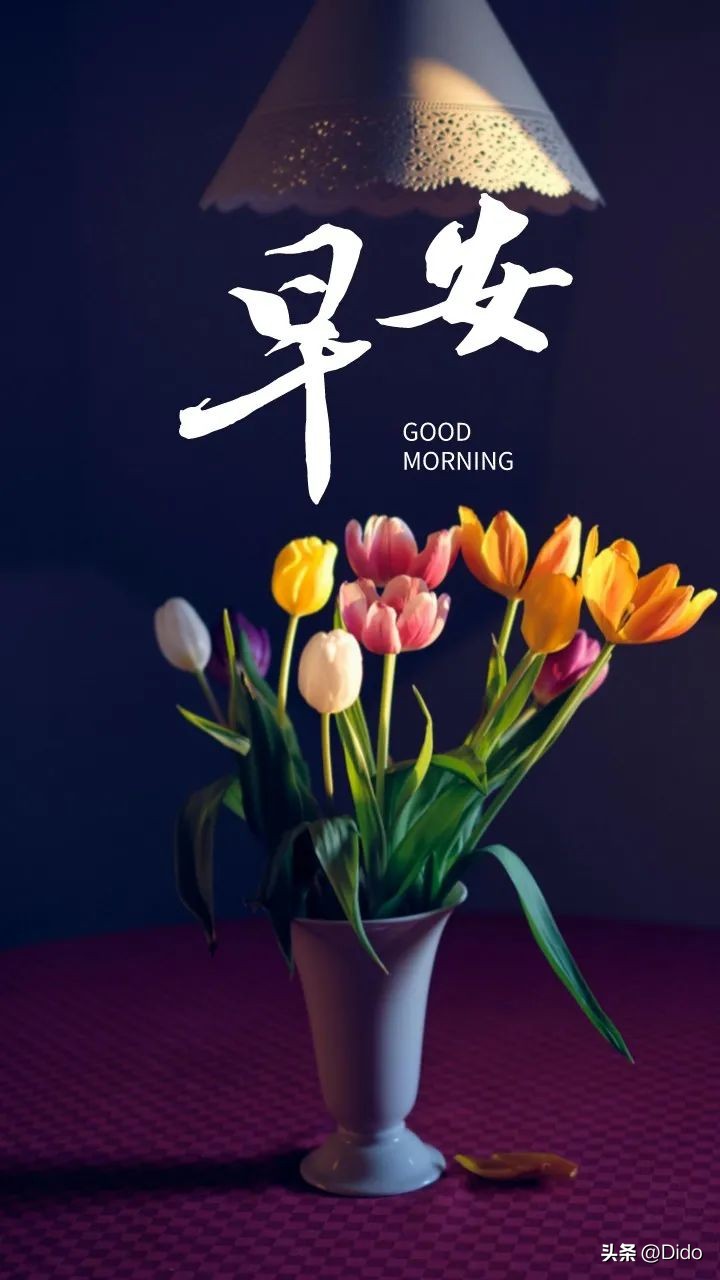 新的一周早安，希望接下来的日子在平安健康的基础上锦上添花吧。