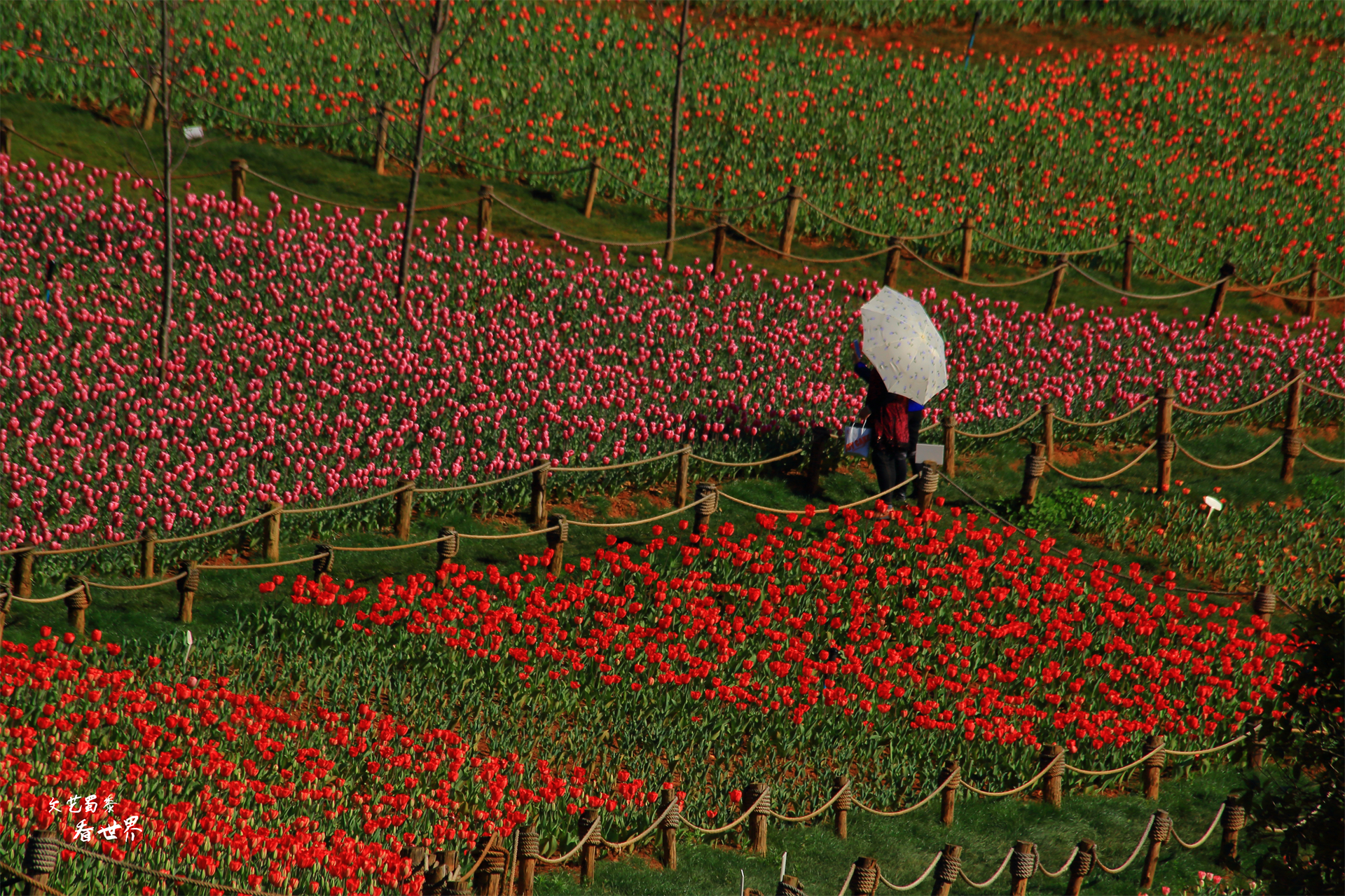 去云南养老,云南最适合养老的城市弥勒