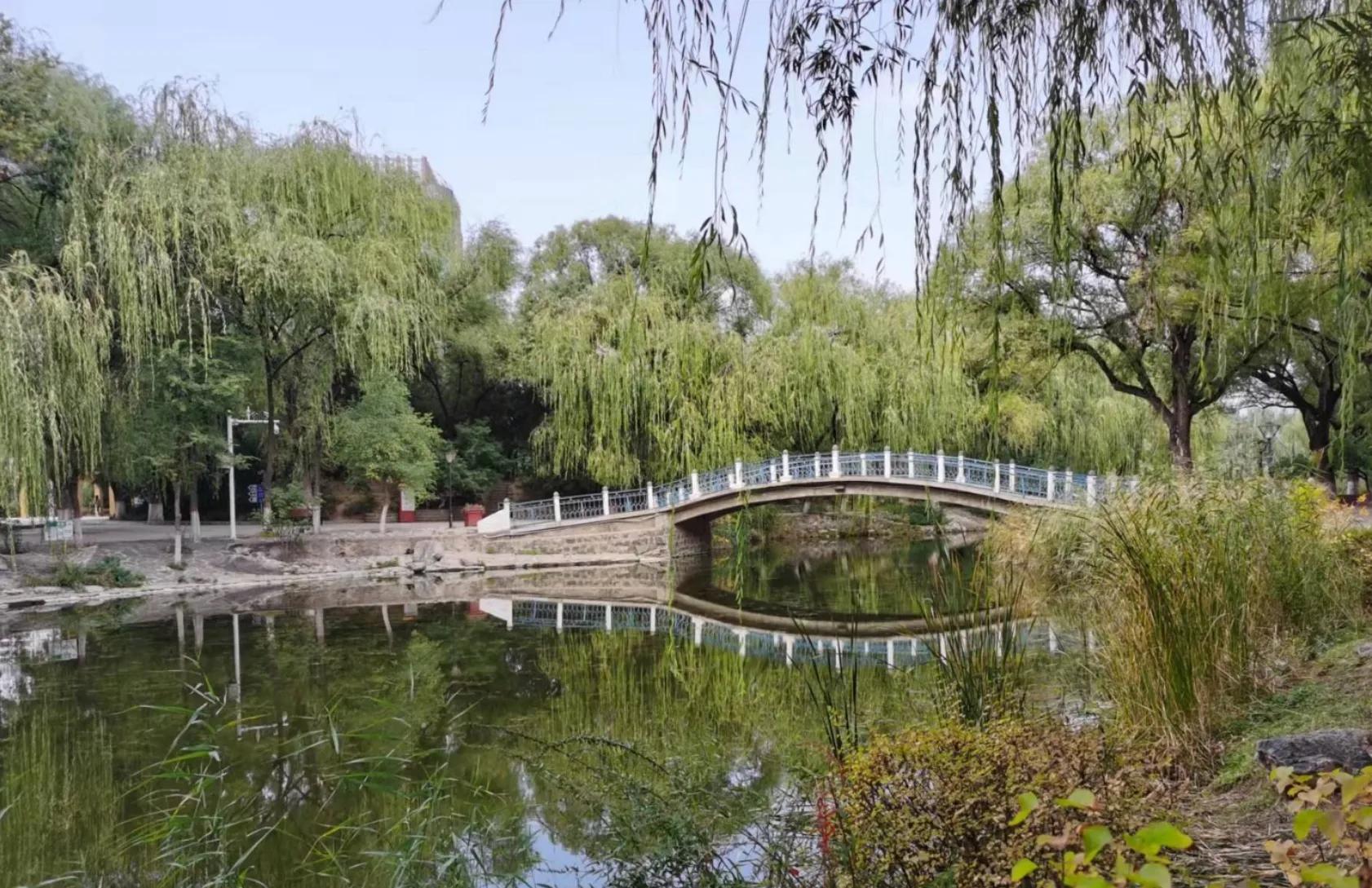 我眼中的巴彦淖尔市,我眼中的呼和浩特作文