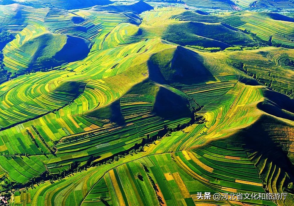 向河北,向着坝上草原出发