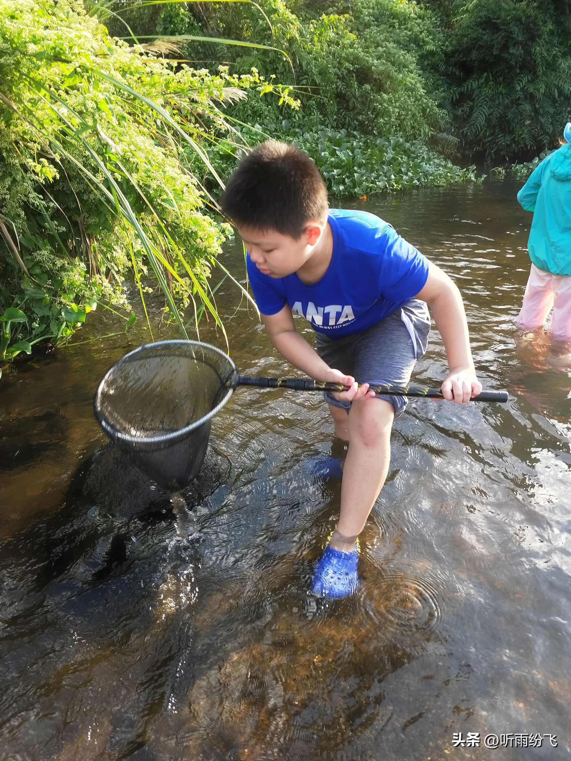 回忆童年捞虾,童年回忆捞河虾