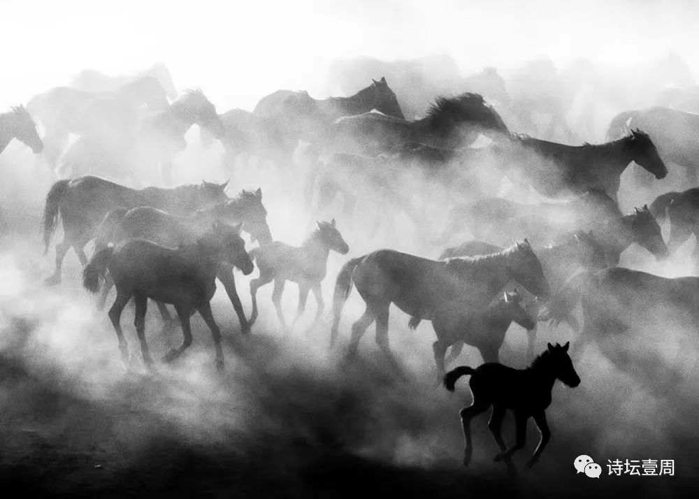 【诗坛壹周】合军选诗,合集：那么多年来，我还不是自己的主人