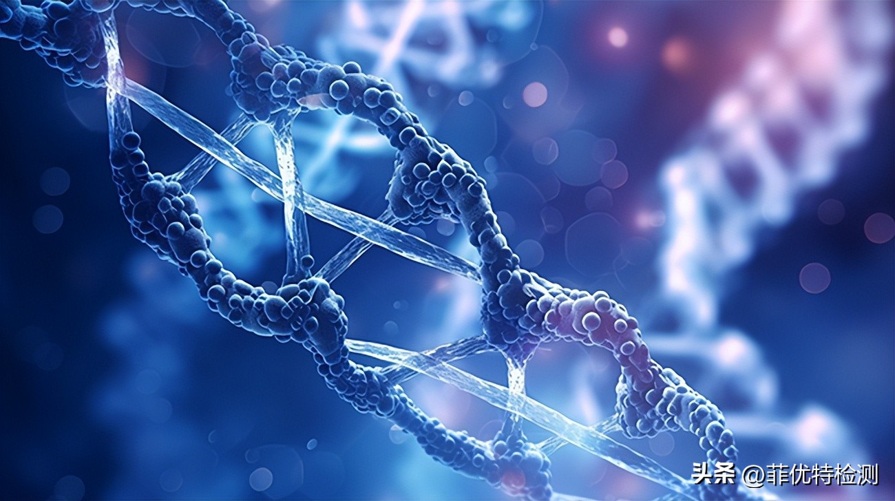 dna和总rna提取步骤详解,提取dna和rna的区别