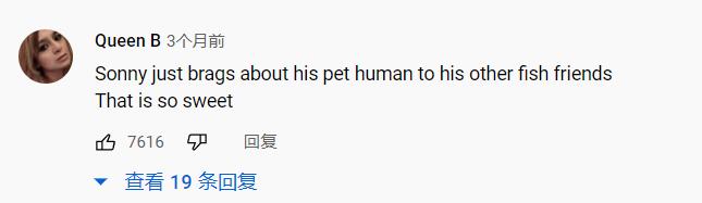 国外美女姐姐海里偶遇一只小鱼，竟引发神奇友谊！网友：前世情人