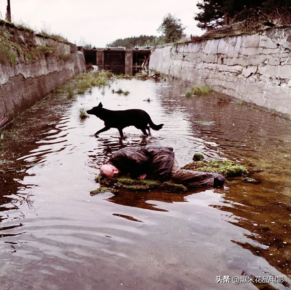 这才叫真正的科幻电影,五部全球评分最高的科幻电影