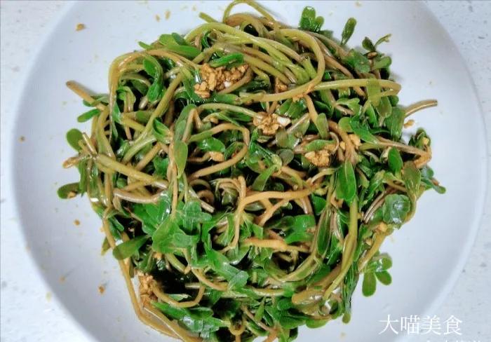 马齿苋怎么做好吃有什么好处,马齿苋怎么做好吃又有营养价值