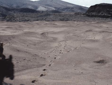 盘点内娱cp18年,内娱哪对cp可能是真的