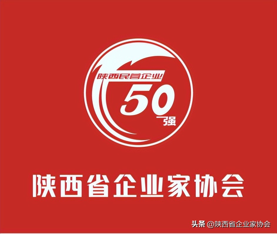 2019陕西民营企业100强榜单,2019陕西民营企业50强