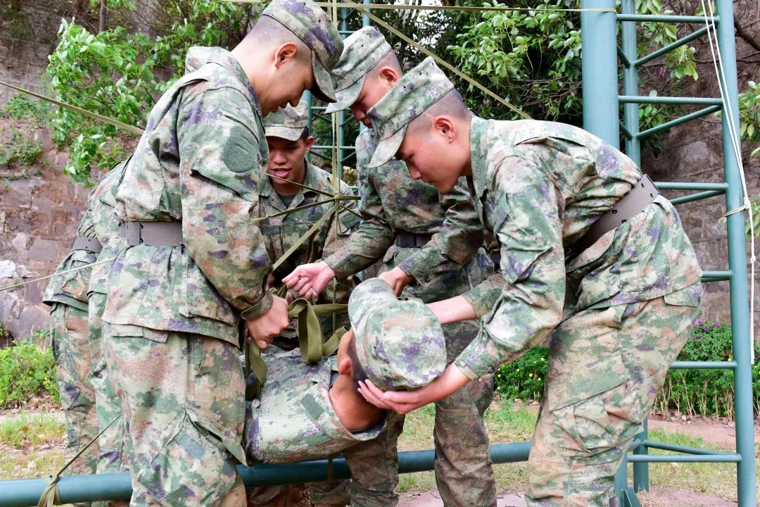 信任背摔保护人手势,信任背摔视频